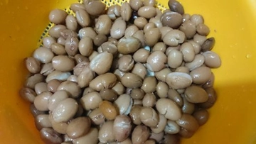 Haşlanmış Barbunya Tarifi ve Malzemeleri