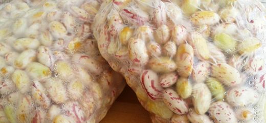 Dondurulmuş Barbunya Tarifi ve Malzemeleri